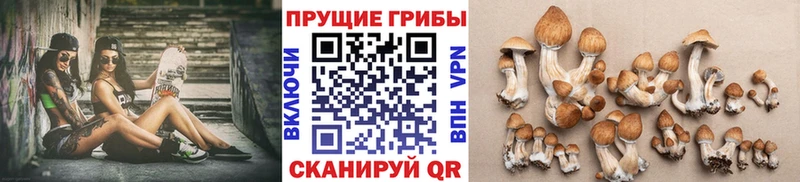 Псилоцибиновые грибы прущие грибы  Чистополь 